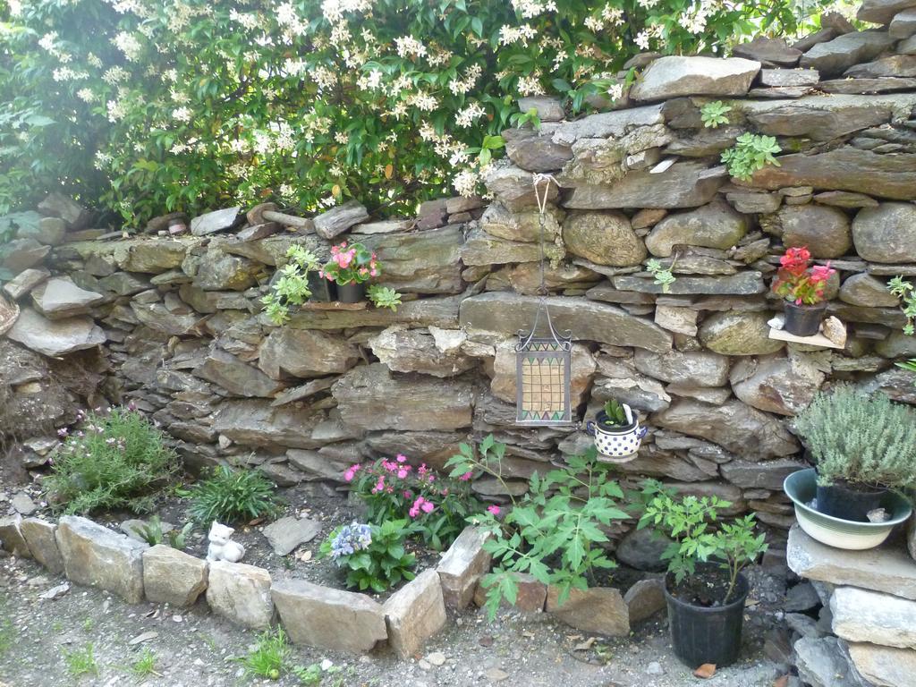 B&B Il Castello Lago Maggiore Con Terrazza Cossogno Exteriör bild
