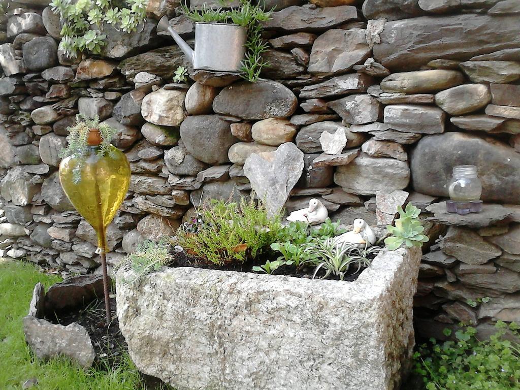 B&B Il Castello Lago Maggiore Con Terrazza Cossogno Exteriör bild